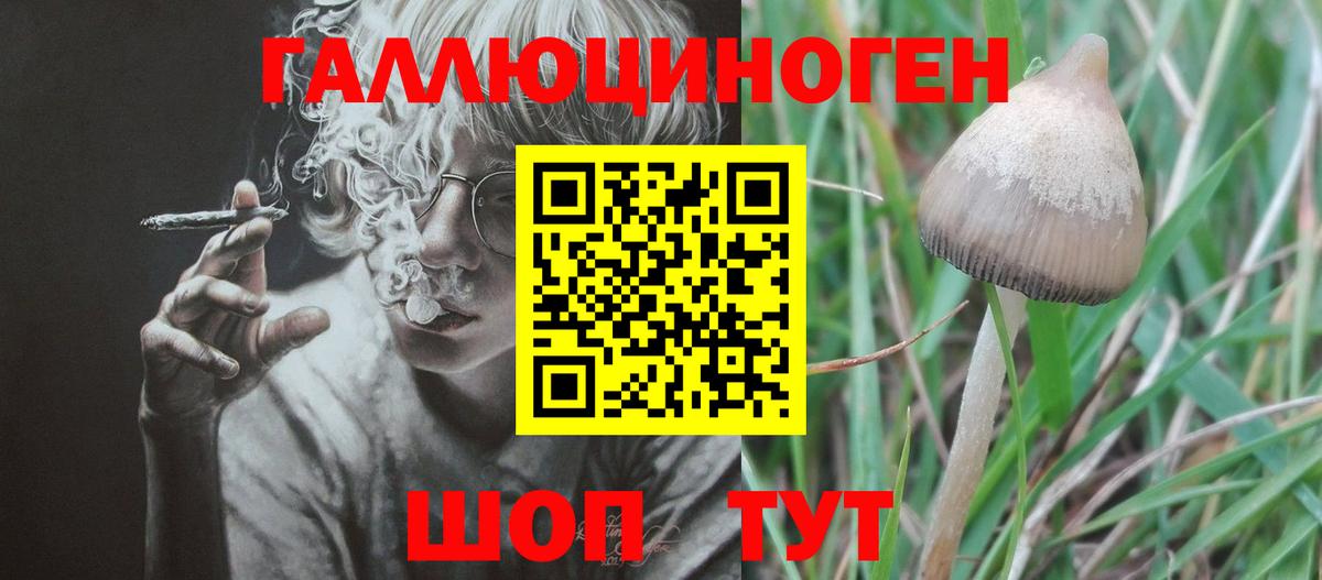 Псилоцибиновые грибы ЛСД Алатырь